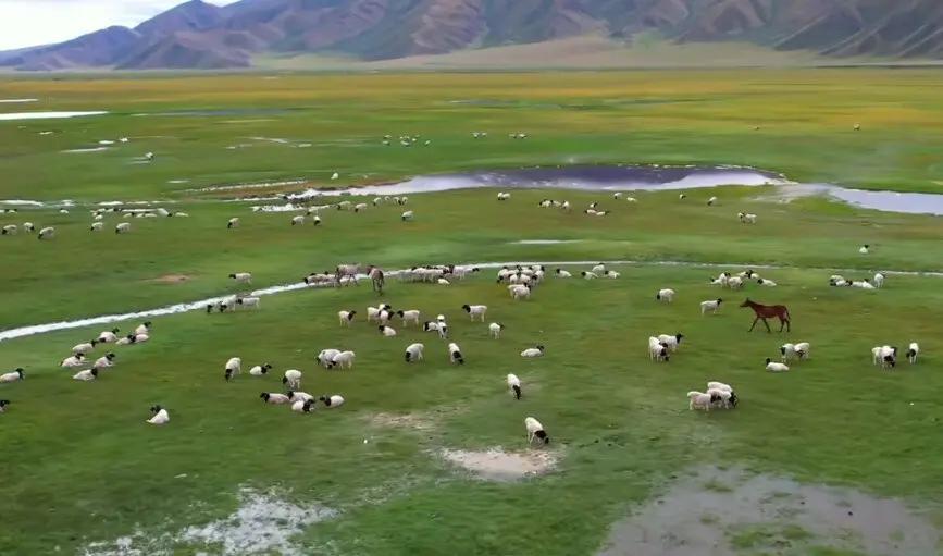 最靠谱的旅游博主,推荐旅游地方的博主