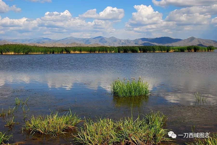 有趣的兵团名称,有趣的地理国界