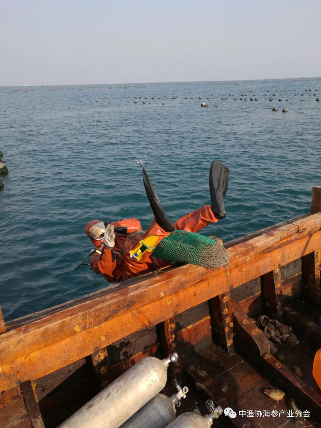 大连开发区海参产业情况,大连海参产业平台