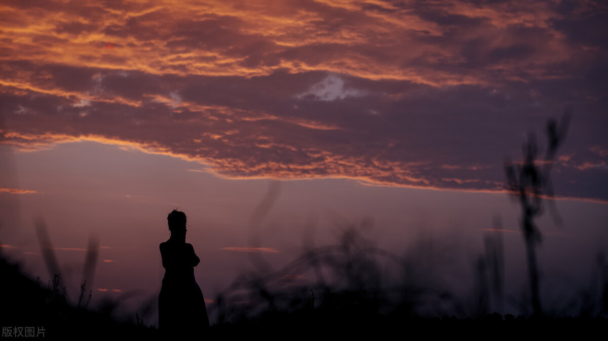 《久别重逢》平凡的女人:为女儿买1000多斤书