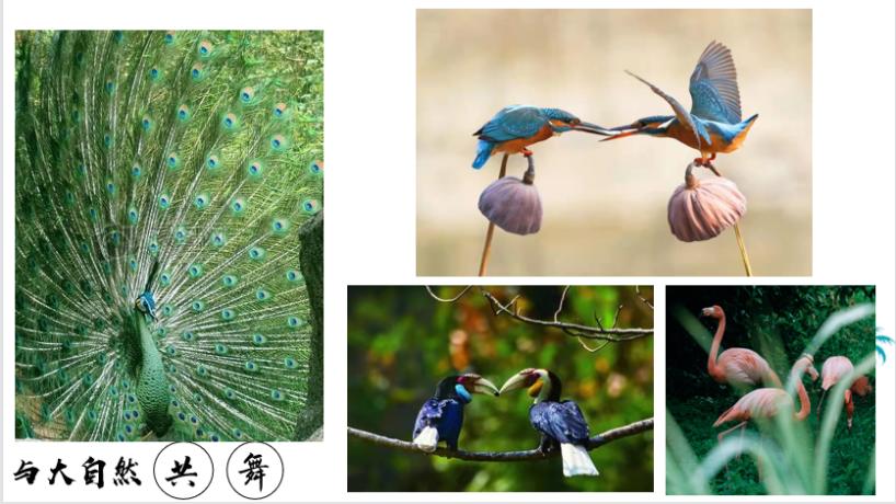 春城过春节,昆明有您更浪漫