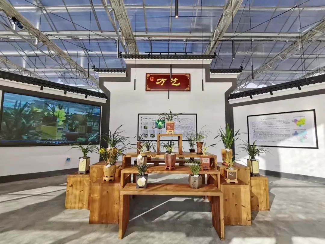 广东省建设美丽圩镇攻坚行动方案,广东省美丽圩镇创建方案