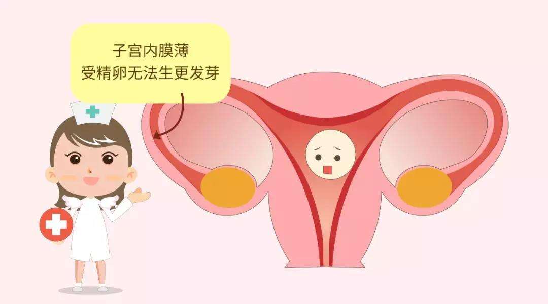 子宫内膜厚度是为多少是正常的,子宫内膜厚度怎么测量