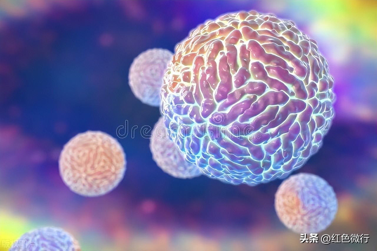 可怕十大病毒,和人类和平共处的病毒