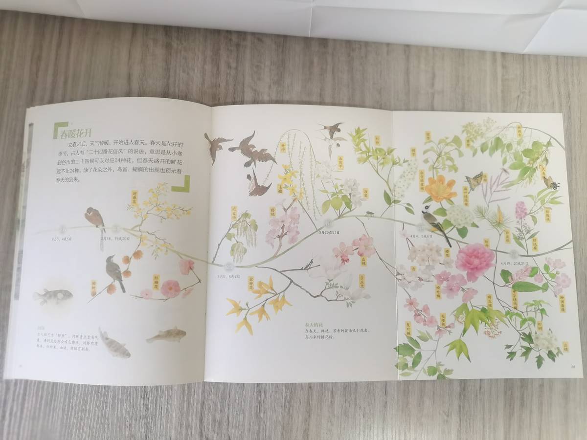 妈妈怎么教幼儿园孩子背诗,幼儿什么时候开始学习背诗