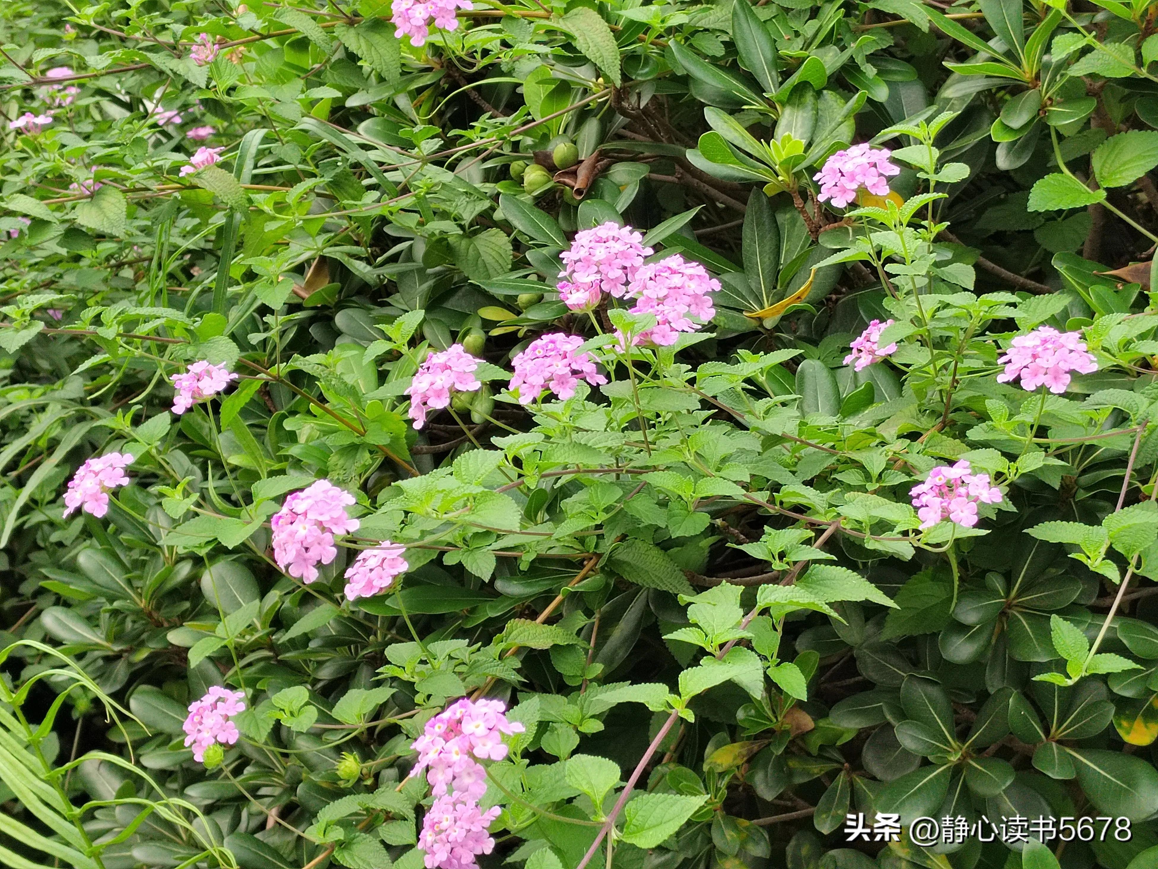 做生意悟出来一个道理,冯仑说做生意求人