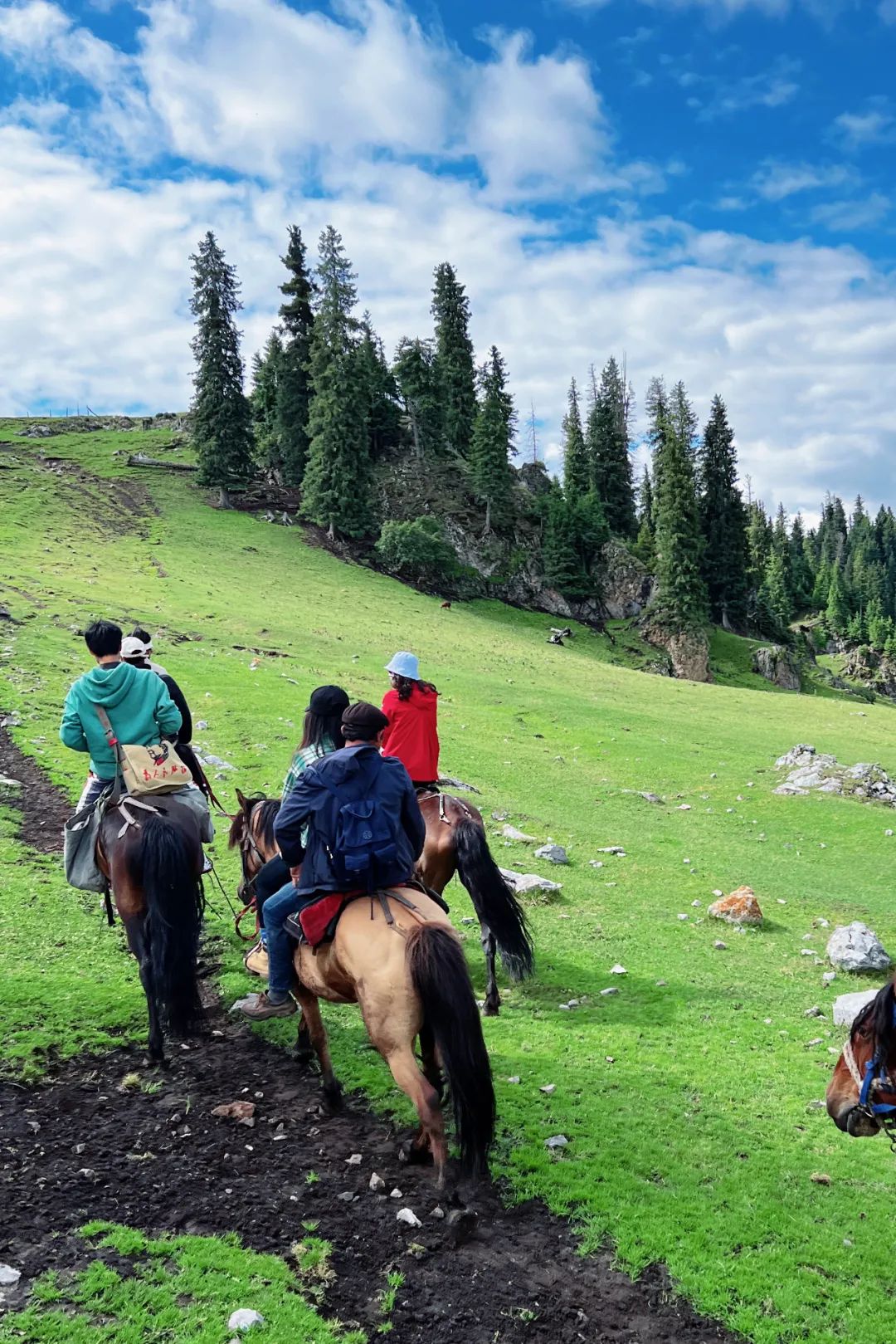 从伊犁出发的南北疆旅游攻略,火爆的新疆游
