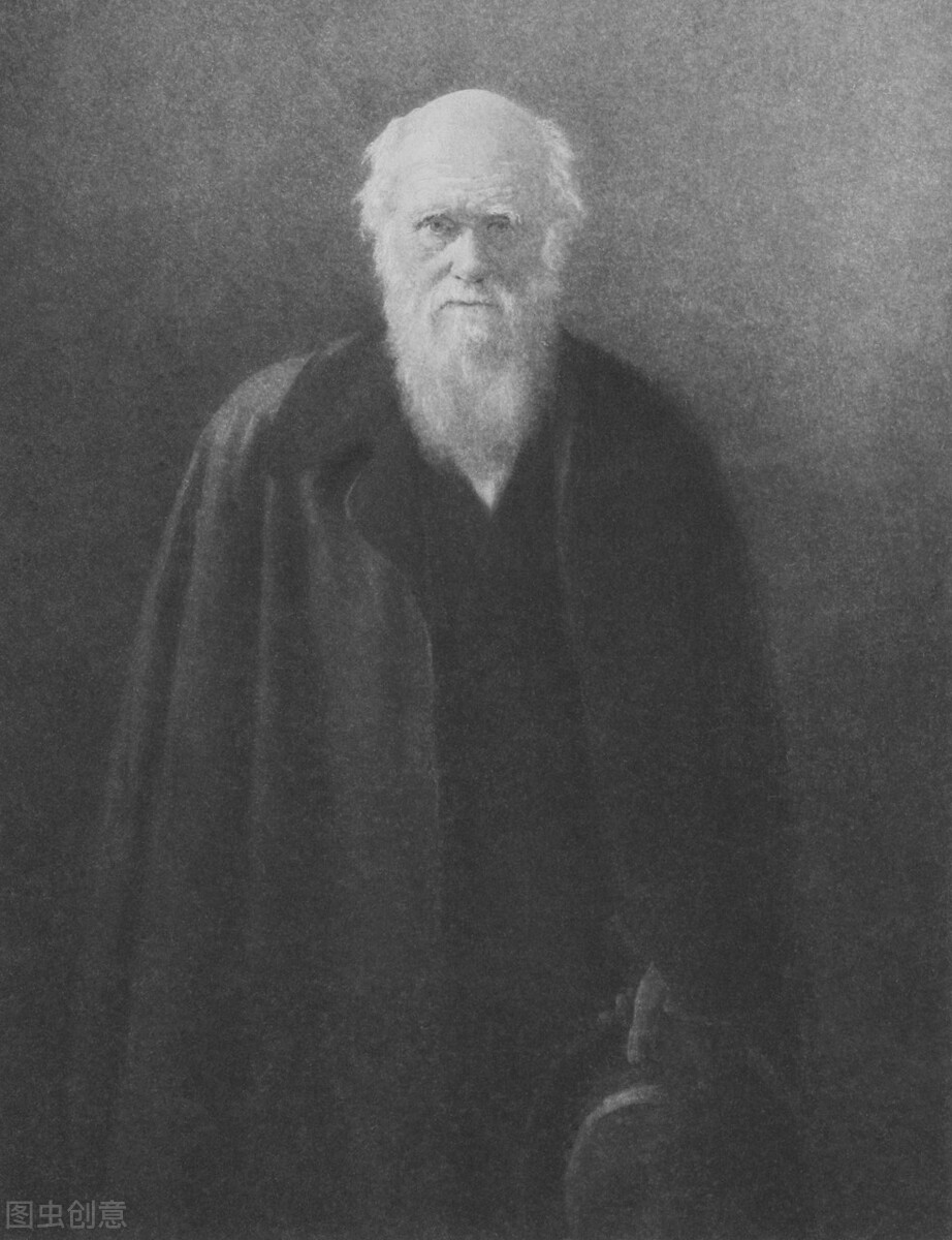 进化论提出过人类进化吗,科学家怎样证明进化论