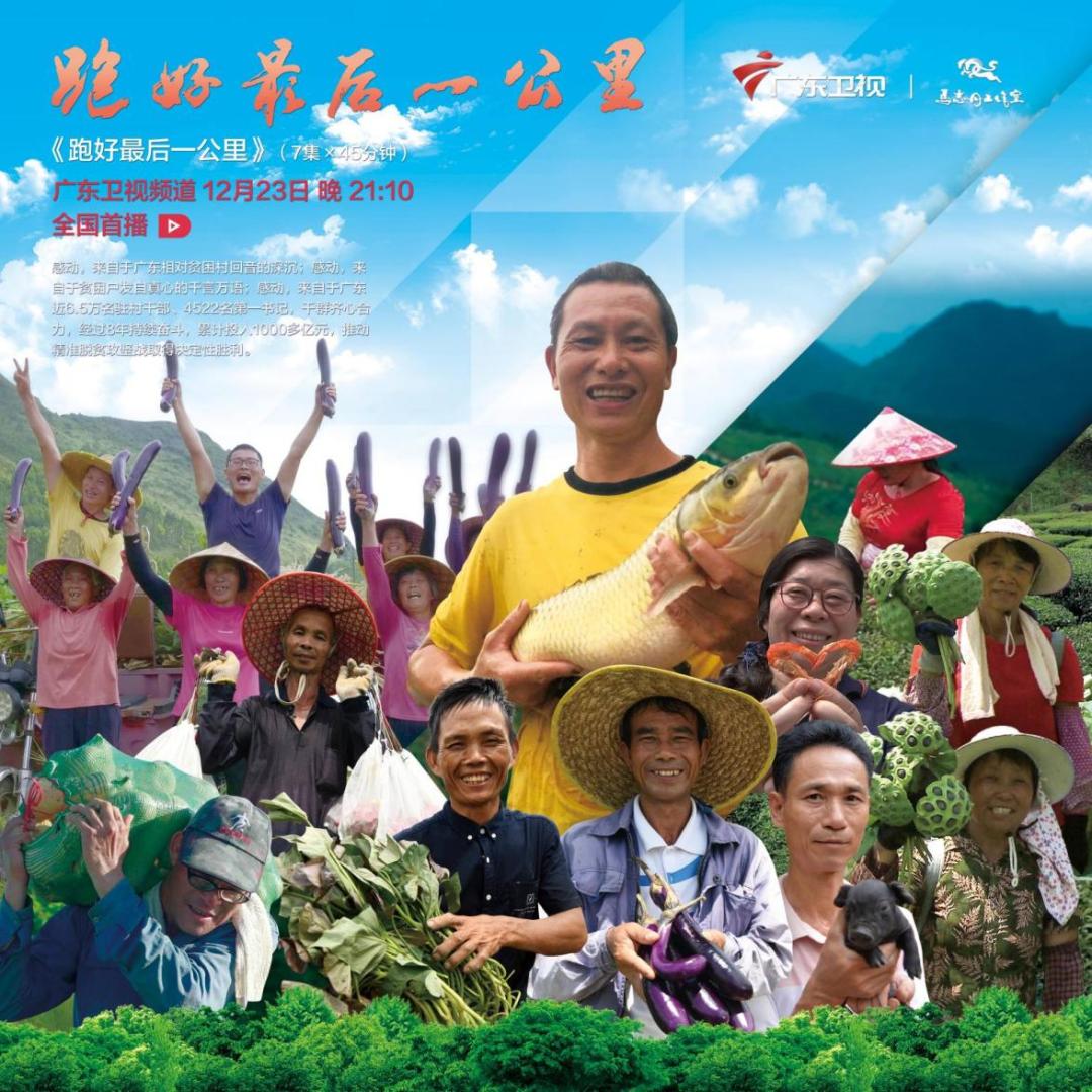 黑马的明牌：准一线广东卫视的三年改革与五年突围