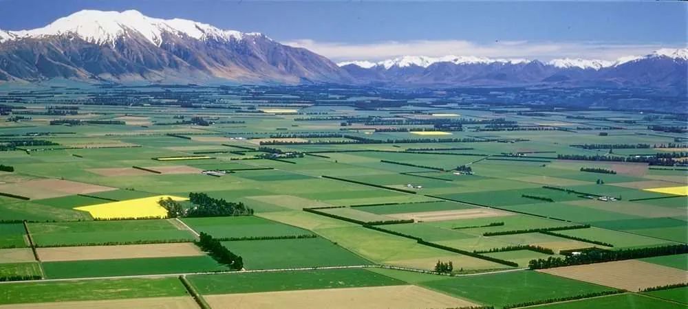 汤加海啸影响新西兰吗,汤加火山喷发致海啸完整