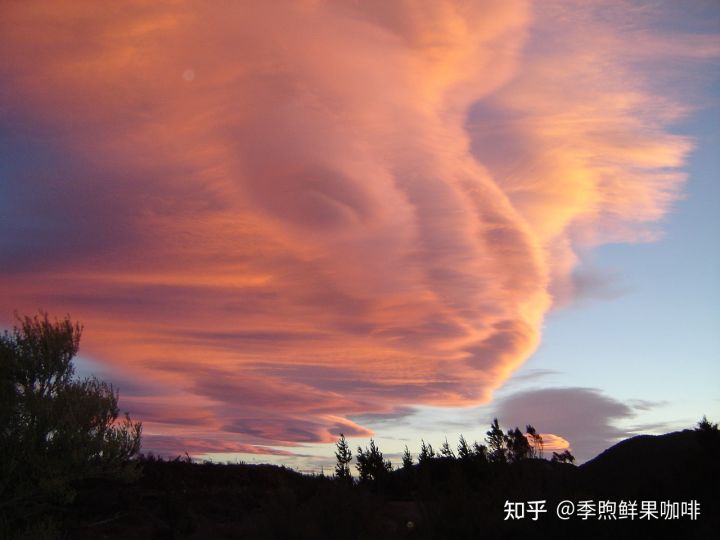 为什么很多人创业就想开奶茶店,为啥都想开咖啡店