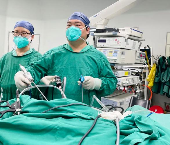 腹腔镜肾切除示意图,腹腔镜肾脏部分切除术