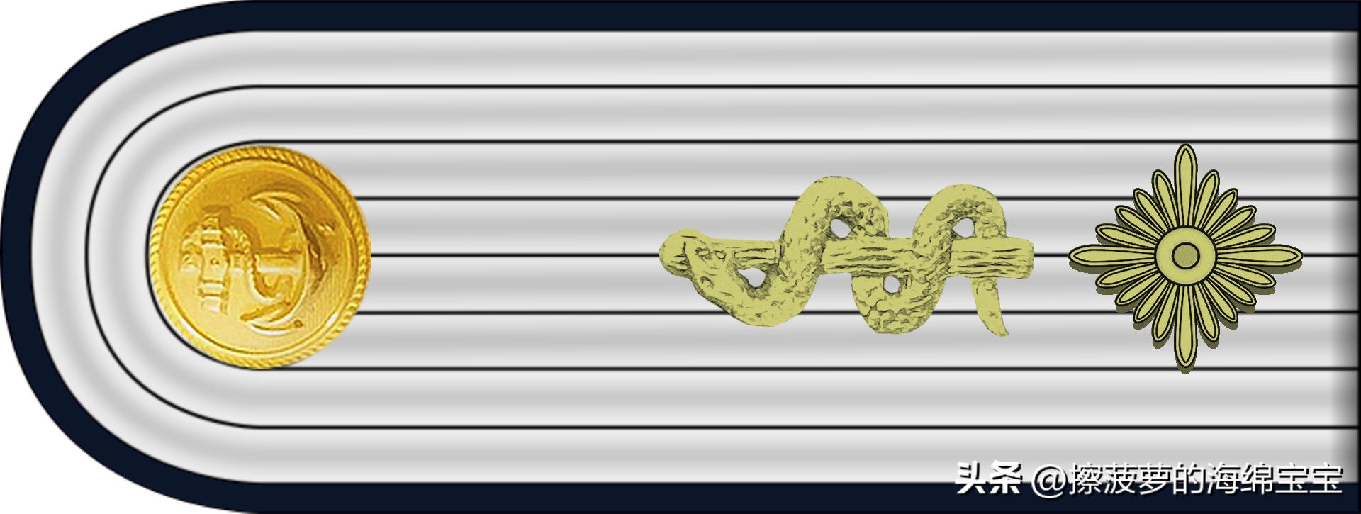 二战德国国防军医疗兵军衔标志