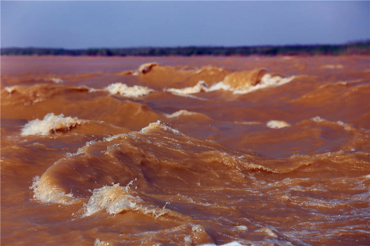 散文▏董建盛：黄河入海流