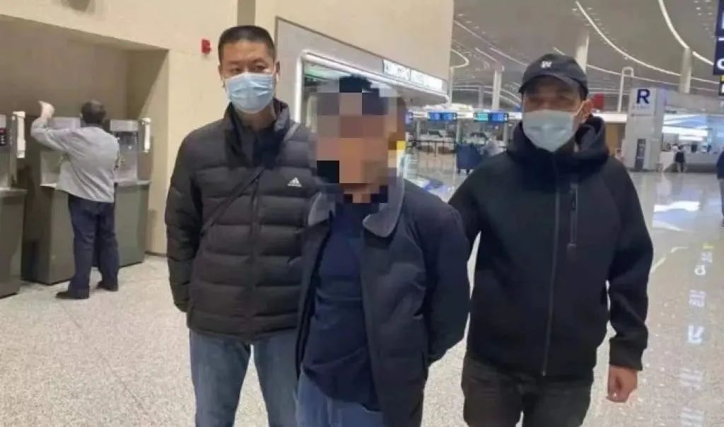 起底杀猪盘,起底各大主播幕后推手