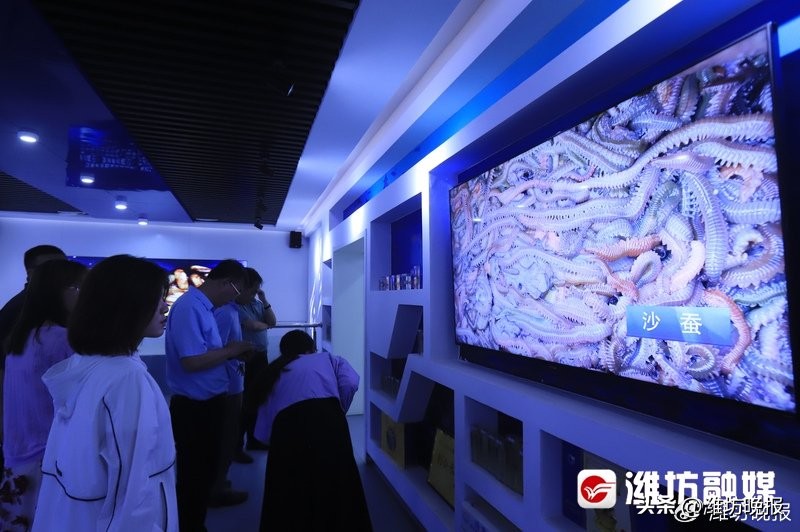 潍坊海边值得去的地方,潍坊滨海最值得去的地方