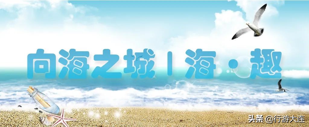 面朝大海,露营自由!5大营地,大连人独有的小欢喜来了