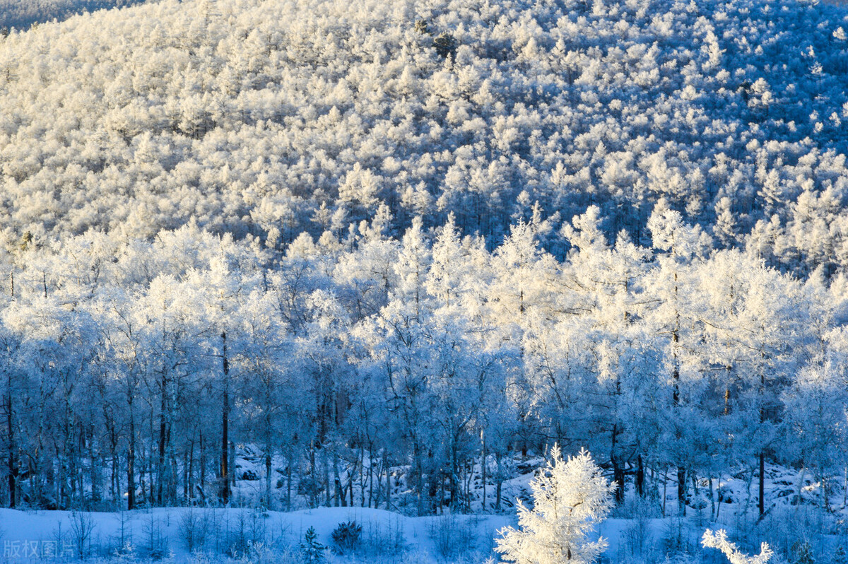 雾凇物理实验,松花江的雾凇是一种什么物理现象