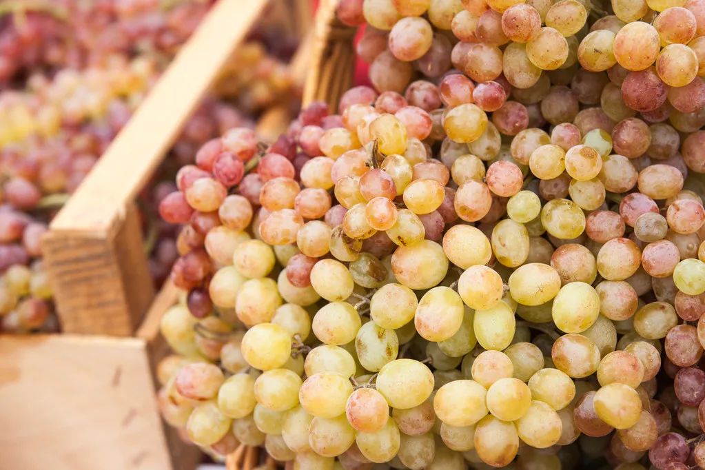 名酒副牌是什么意思,名酒为什么不能退