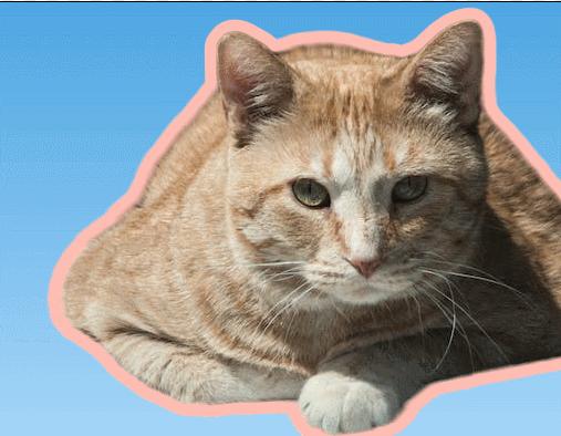 这5个小众抠图软件带你玩转创意抠图！无需动手