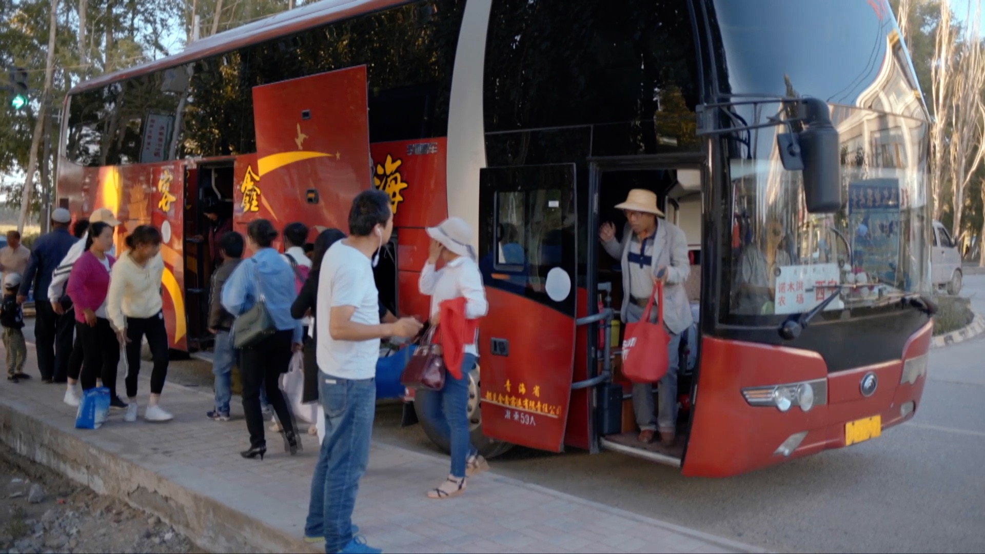 青藏高原诺木洪枸杞,青海诺木洪枸杞什么时候采摘结束