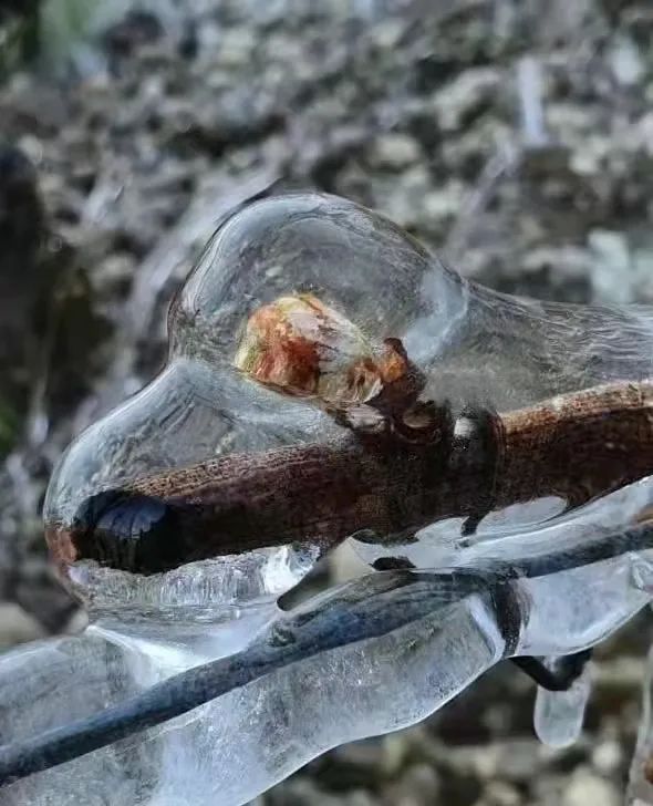 2022法国波尔多葡萄酒价格表,原装进口法国葡萄酒市场报价