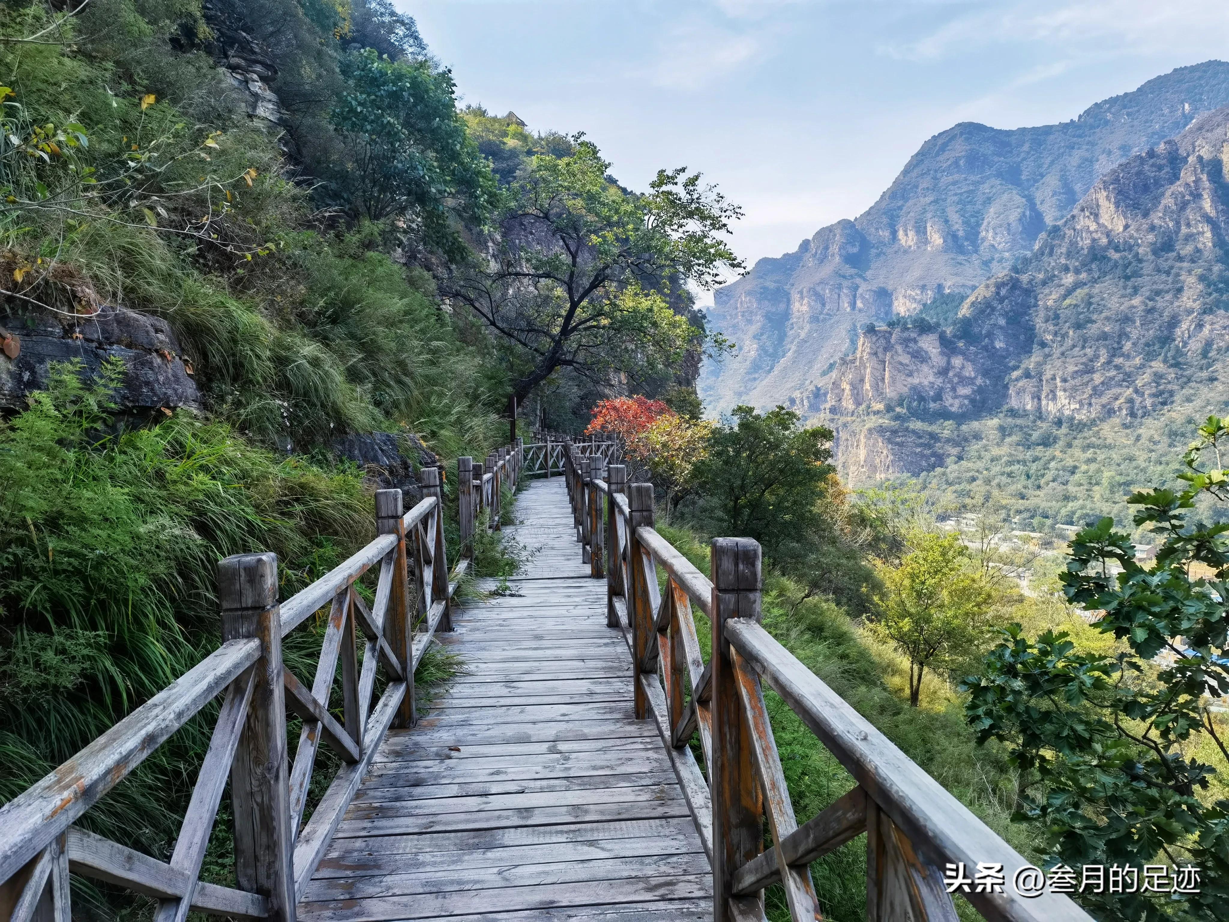 房山红叶最佳地点木栈道,北京房山森林游玩地方推荐