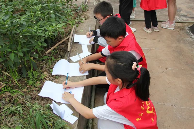 「重庆市六十五中学」劳动砺心志，实践促成长