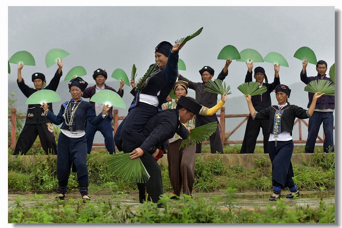 云南26个民族之哈尼族,云南最漂亮的民族哈尼族