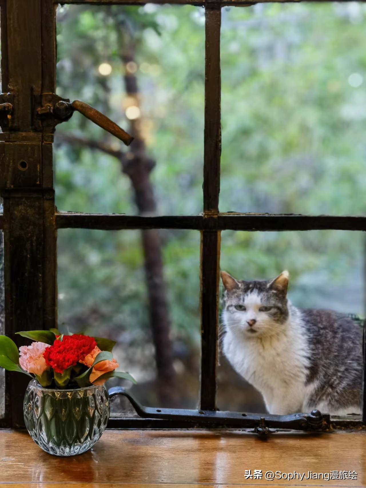 上海衡山马勒别墅饭店如何,上海梦幻城堡