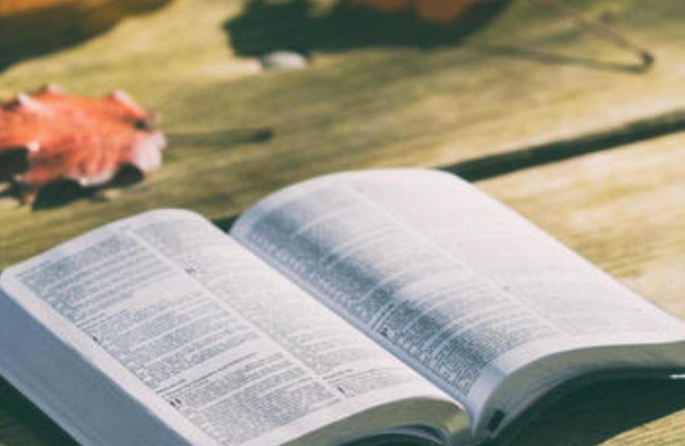 3+2本科与成人本科有什么区别,3+4本科和全日制本科的区别