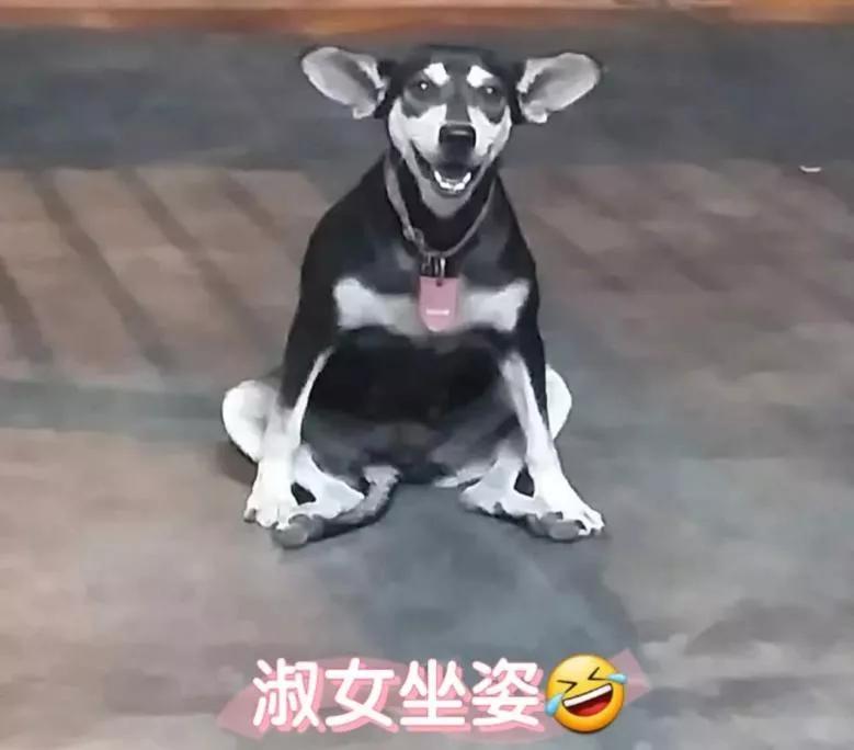 小红书出海外市场了吗最近,小红书回应赴美上市