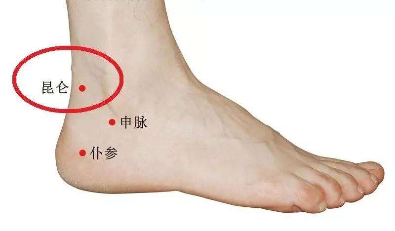 除湿气补气血最快的动作,气血下行需要按哪个足底穴位
