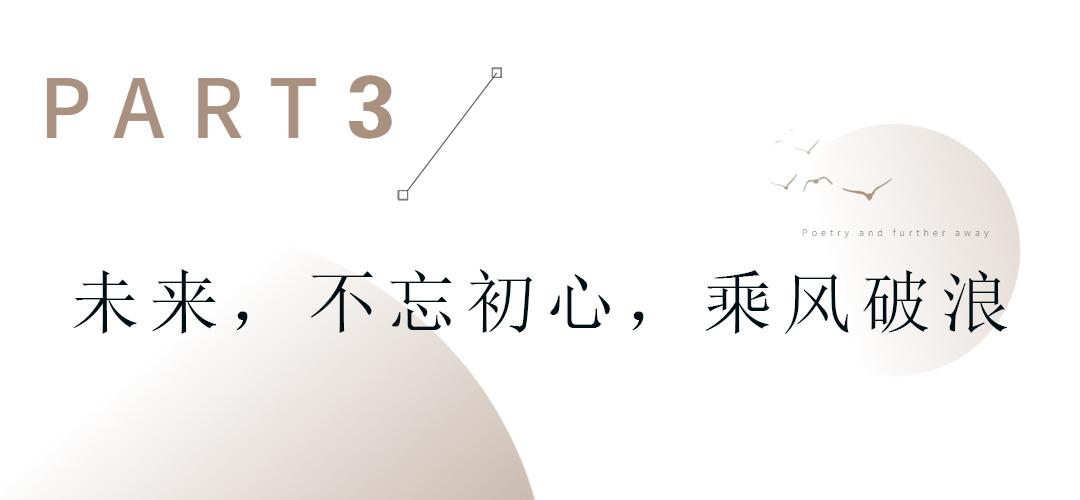 多元集团有限公司怎么打造,多元集团