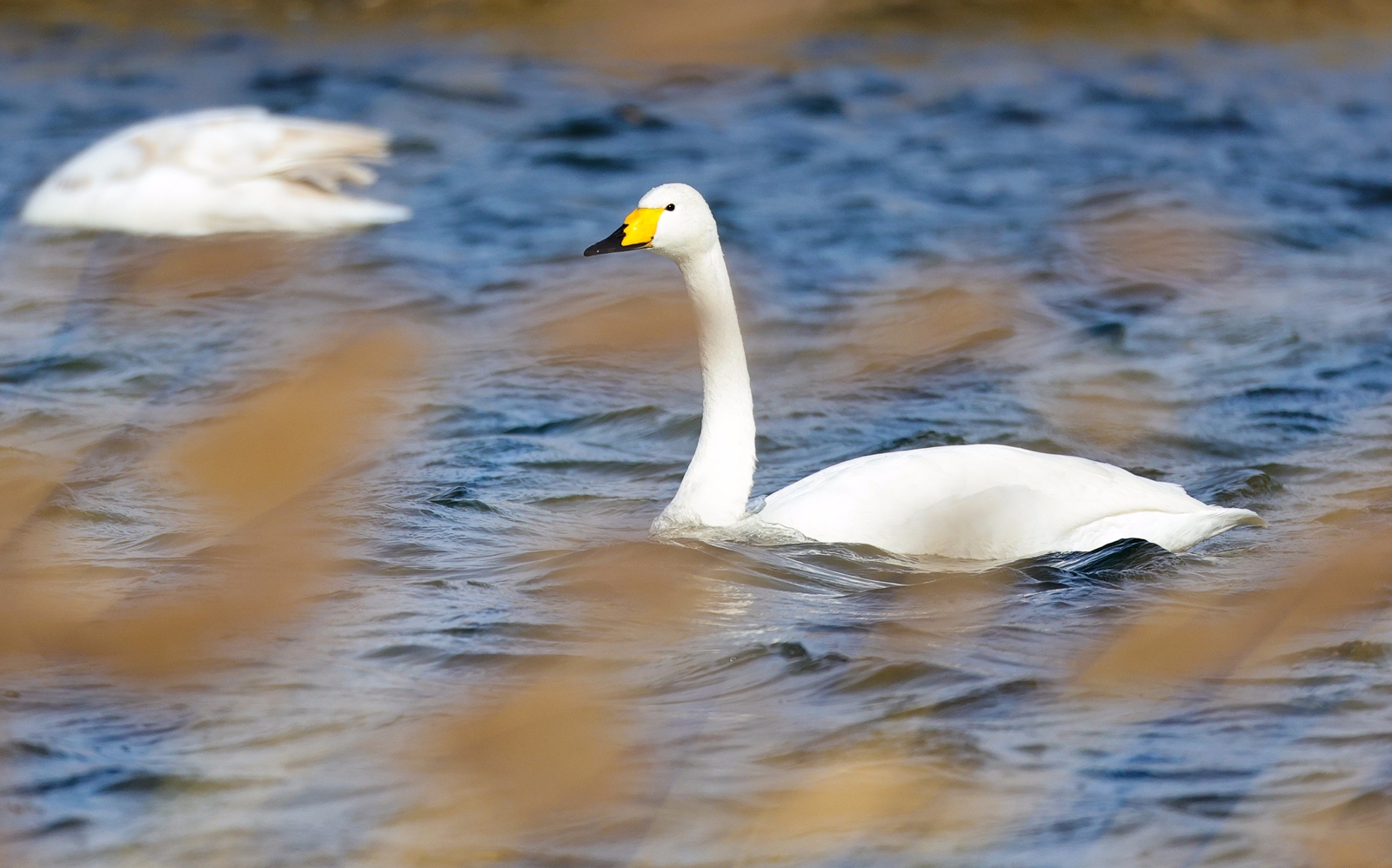 佳能canoneosr3测评,佳能eosr3震撼登场