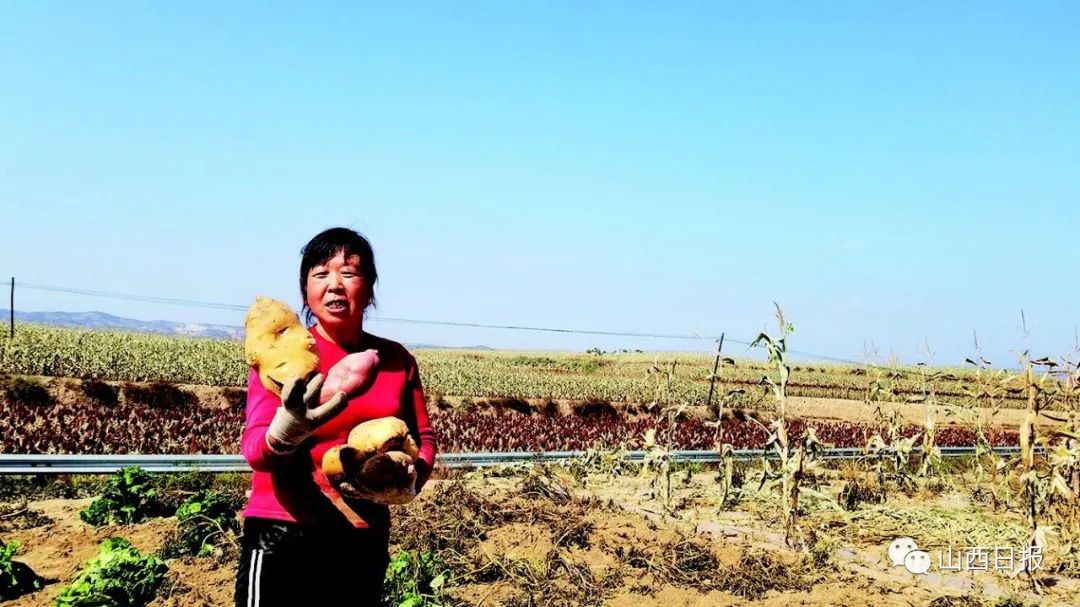 鍏ㄧ渷鍔犲伐鍨嬮┈閾冭柉,鍦熻眴闈╁懡鍔╁姏涓版敹涓颁骇