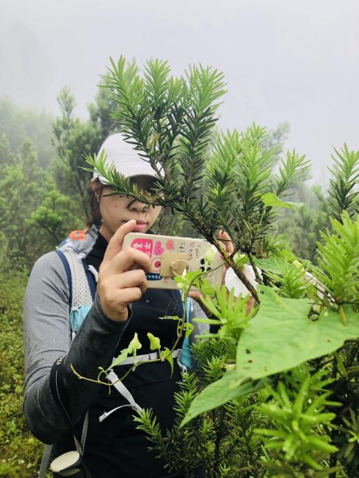 北碚三圣龙王村,重庆北碚山水龙王村