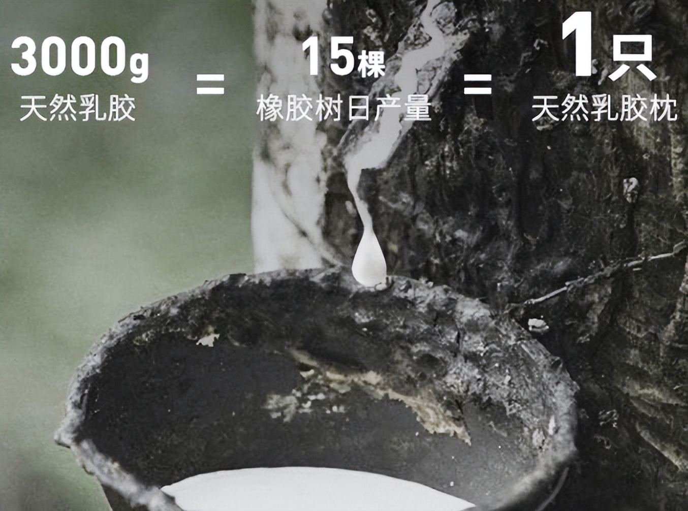 乳胶枕为何惨遭嫌弃,乳胶枕头为什么容易破