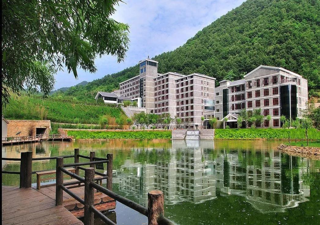 重渡沟音乐完整版,重渡沟菩提树