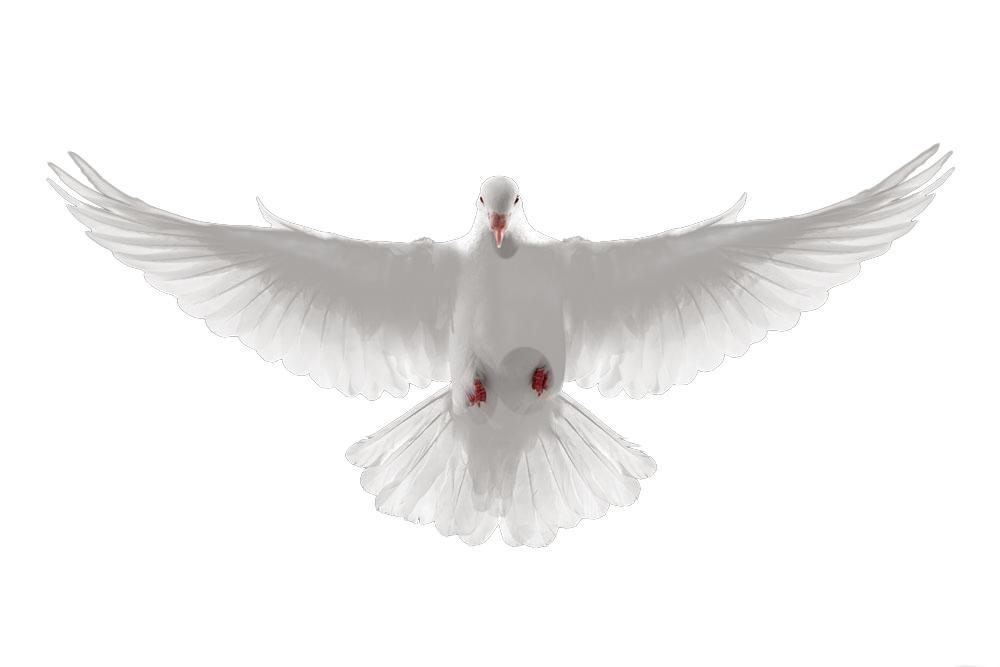 拜登上台对美国的影响,耶伦访华后拜登如何处理中美关系