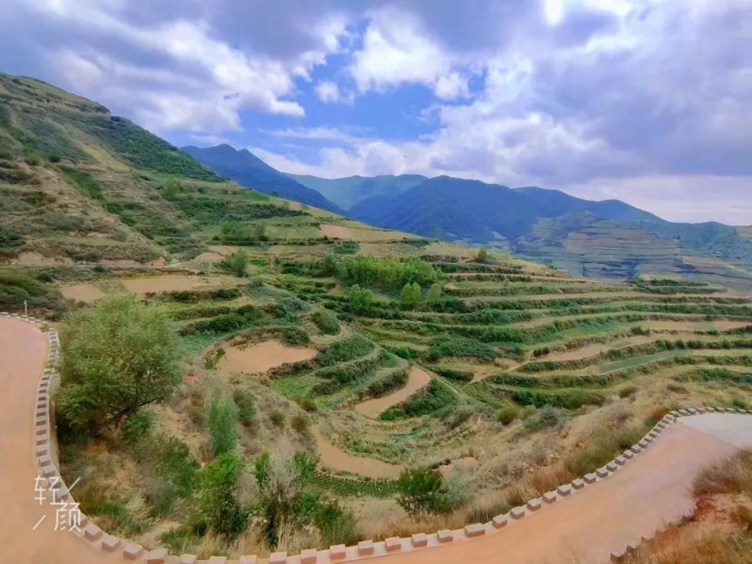 我们这十年原视频,我们这十年东乡