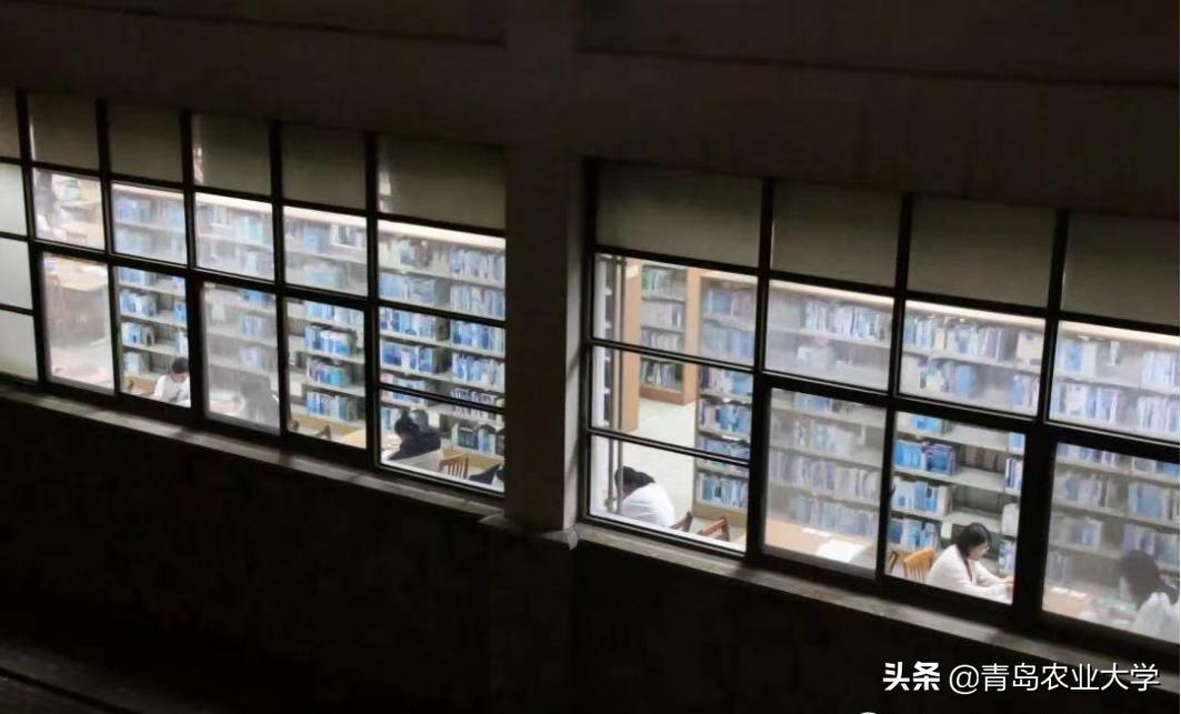 男大学生618都在买什么,大学生618购物清单