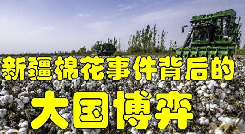 女汉奸袁莉还能回国吗,现代女汉奸袁莉