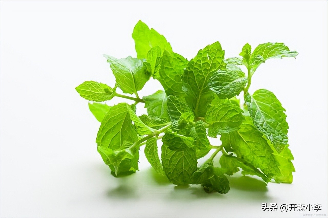 深圳进口产品报关流程咖啡豆,深圳薄荷叶进口报关时间