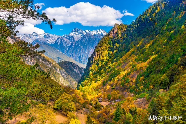 云南10个神奇景点攻略,云南丽江打卡必去景点