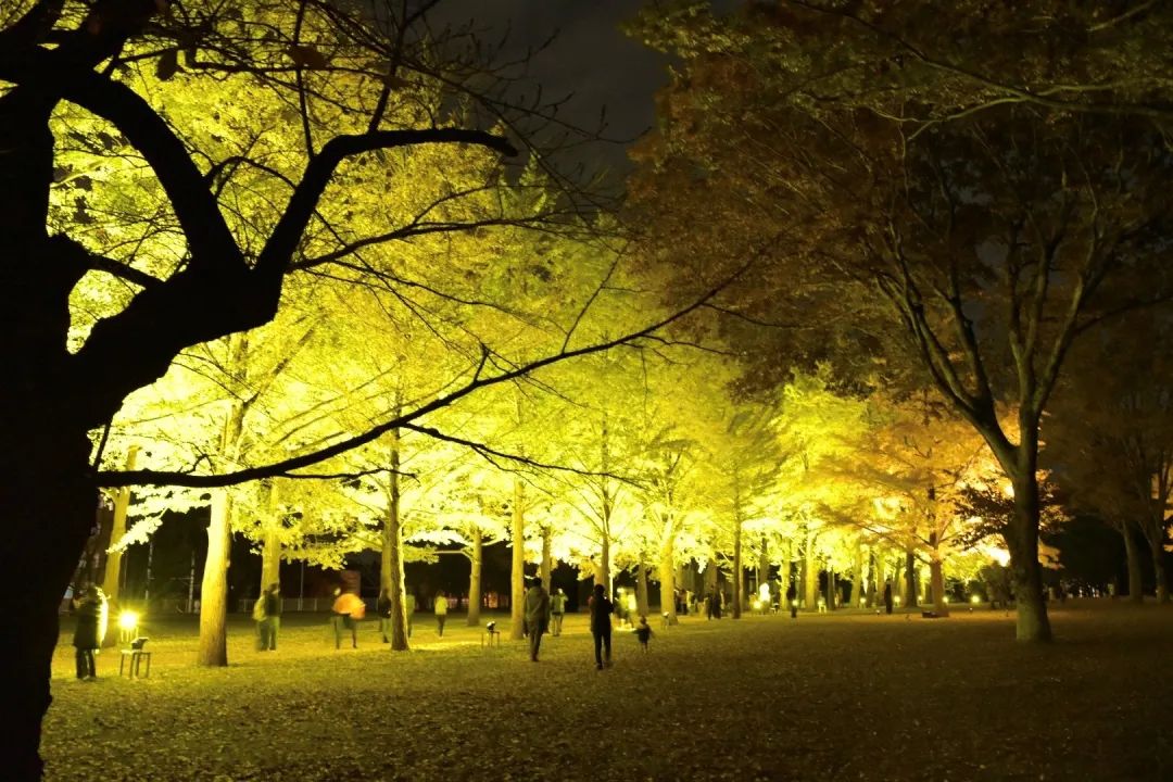 从北到南看日本｜第八期：茨城县深藏多个宝藏拍照打卡点