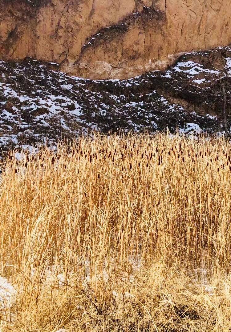 话说天水图文并茂,天水话说天水