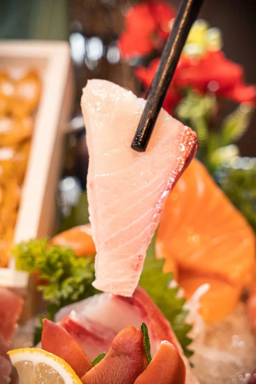 魔都首家烤鸵鸟蛋专门店，日料界新晋流量密码