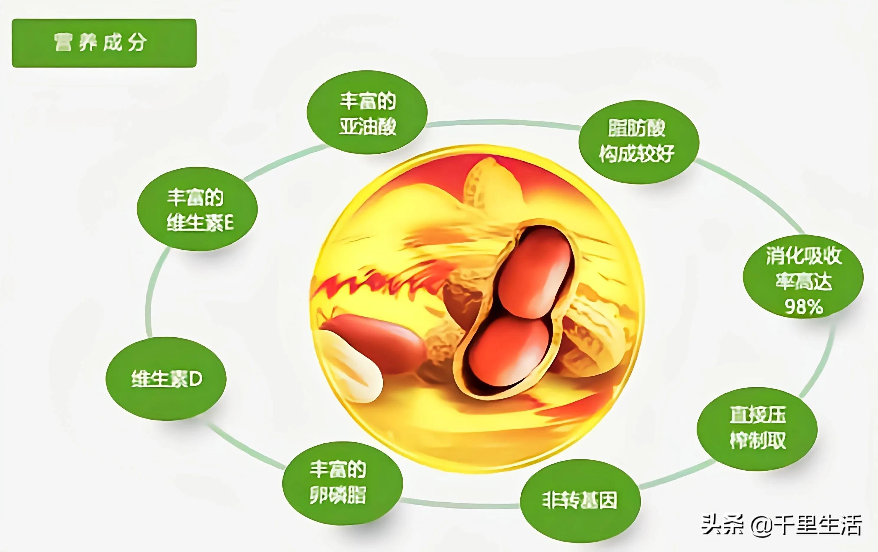 龙岩湿烤花生，龙岩人订婚时的必备“信物”，让人吃得不肯罢手