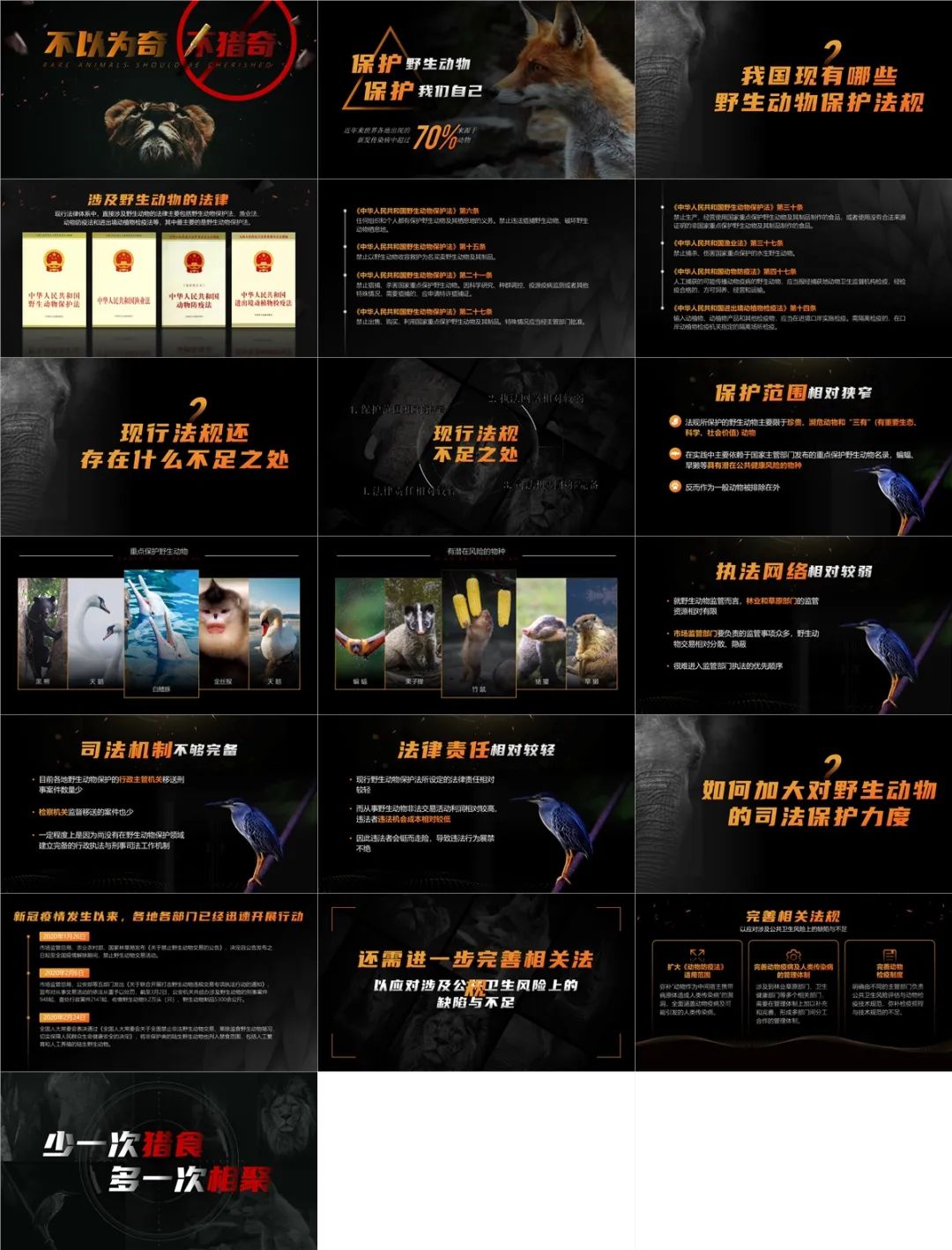 世界野生动植物日保护宣传活动,世界野生动植物保护日英语